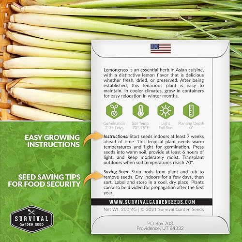 Miniatura 8 de Survival Garden Seeds - Semilla de limoncillo para plantar - 2 paquetes con instrucciones para plantar y cultivar plantas de limoncillo asiático