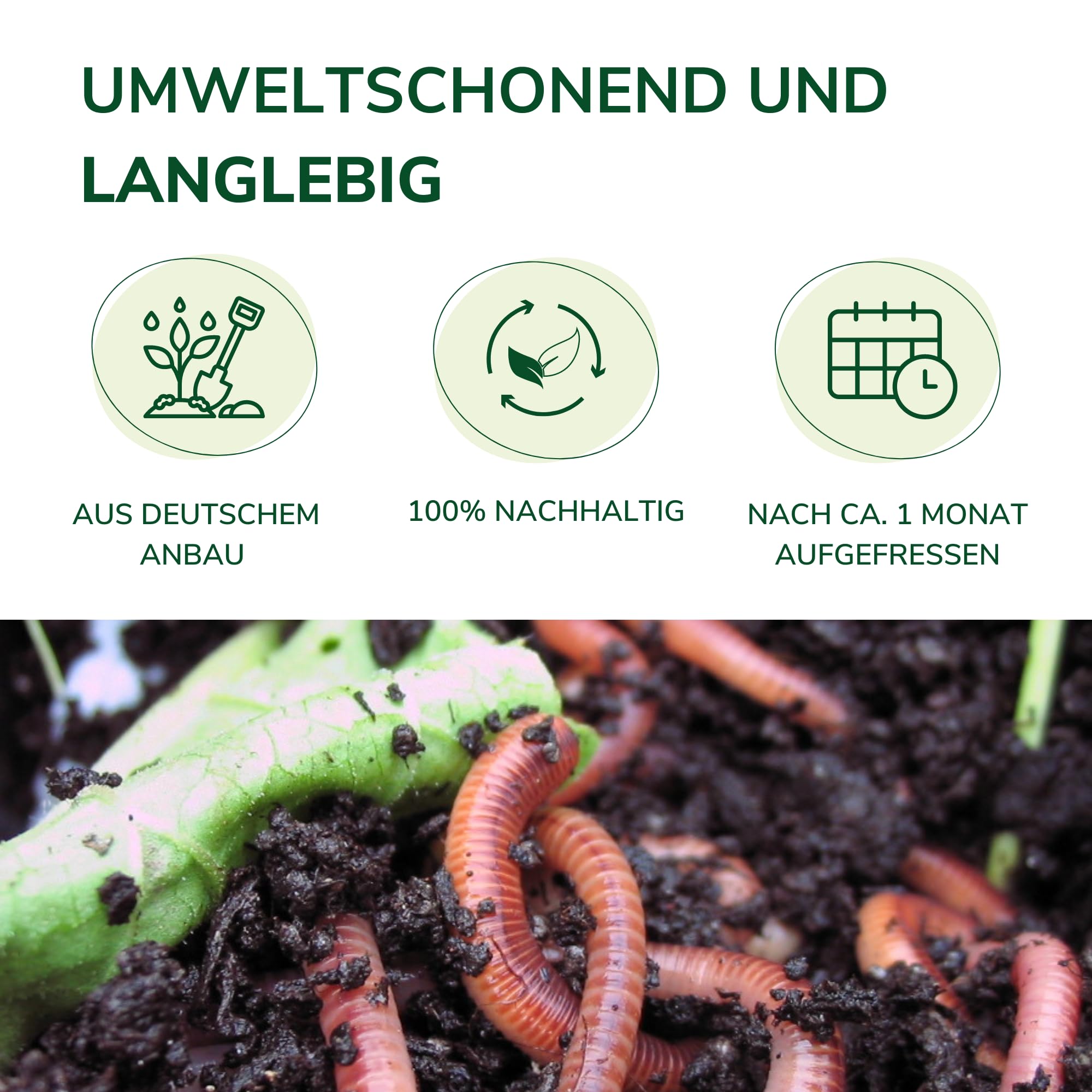 natursache I Hanfmatte - Abdeckmatte (100x50x0,5cm) für Abfälle im Wurmkomposter Wurmkiste Wurmfarm I Schützt vor Fruchtfliegen I sorgt für optimale Bedingungen im Komposter (2 Stück)
