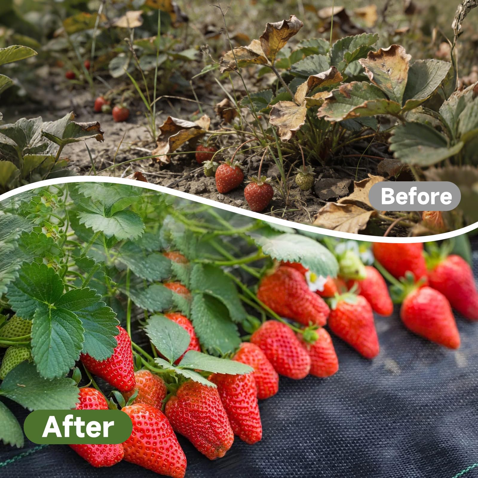 Unkrautvlies 1x50m mit 50 Erdnägeln, 110g/m² Premium Gartenvlies - Wasserdurchlässig, Reißfest und UV-stabil, Ideal für Große Flächen, Gemüsebeet und Kleingarten