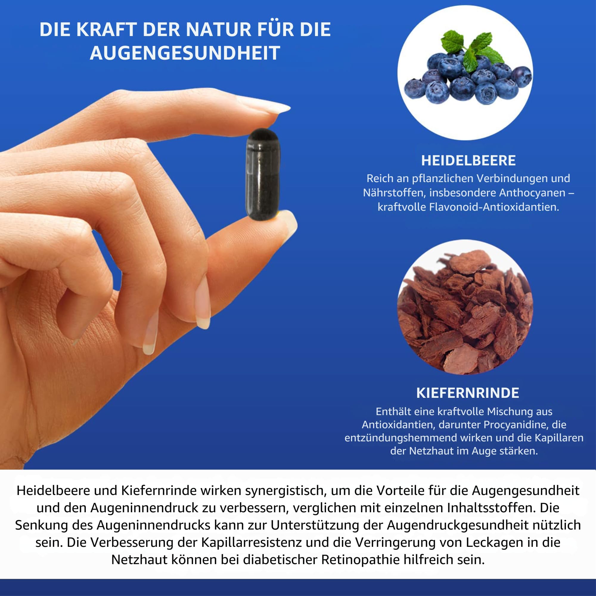 Augen und Sehkraft Ergänzung mit Heidelbeer, Kiefernrindenextrakt, Antioxidantien Anthocyane und Procyanidine - Augen Nahrungsergänzungsmittel für den Erhalt der normalen Sehkraft (60 vegane kapseln)