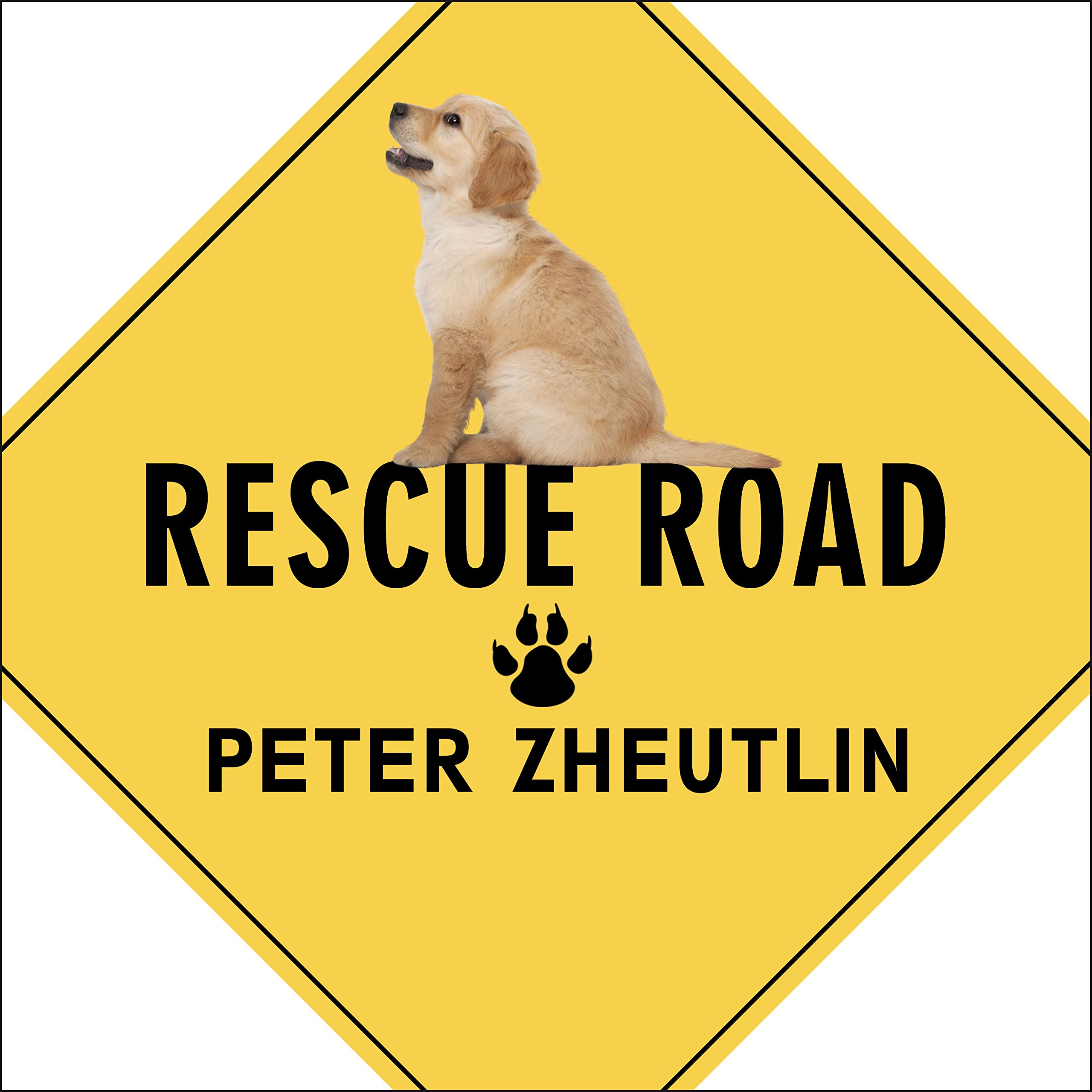 Cover art for Rescue Road