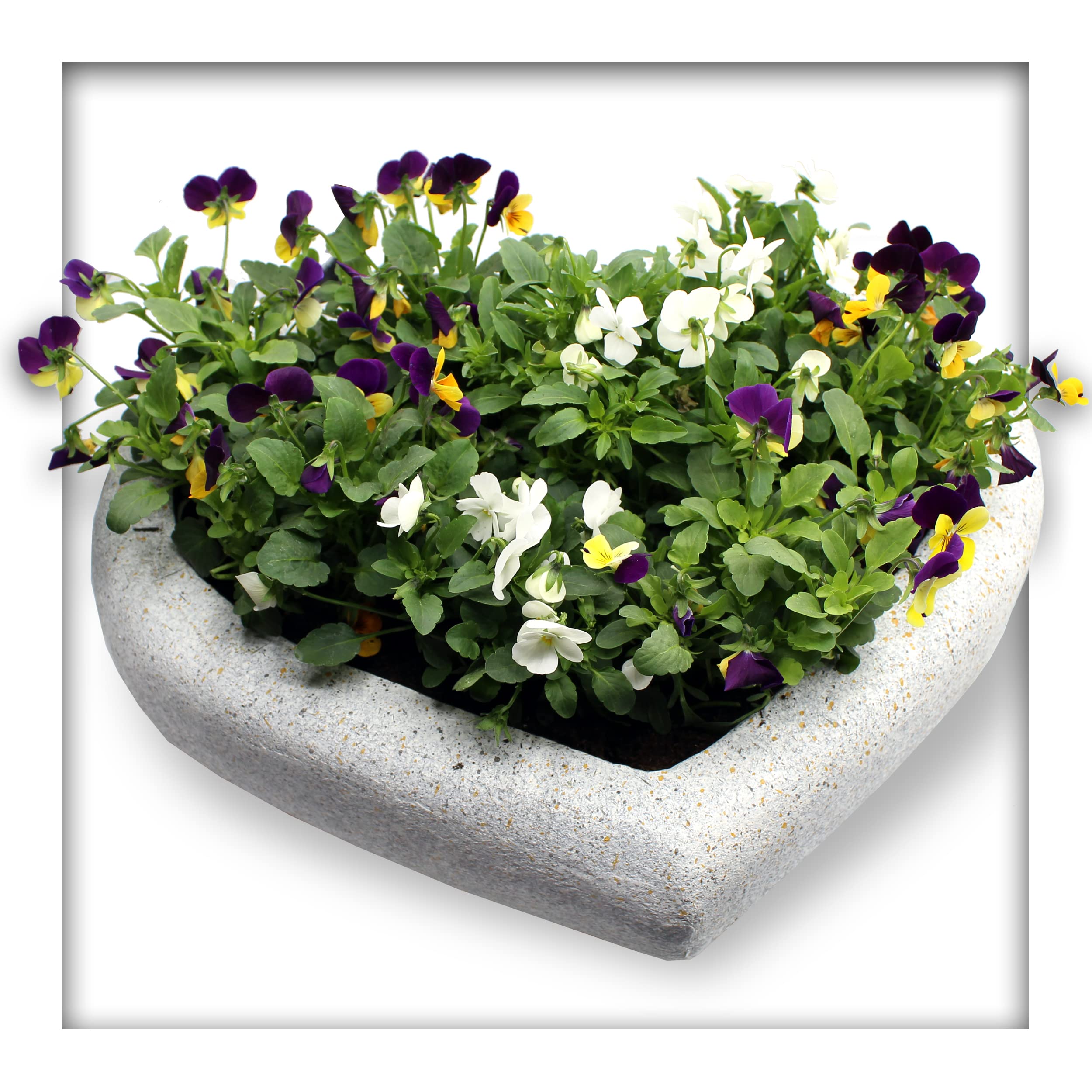 Pflanzschale Herz Pflanzgefäss, Gartenschale, Dekoration, Friedhof, Terrasse