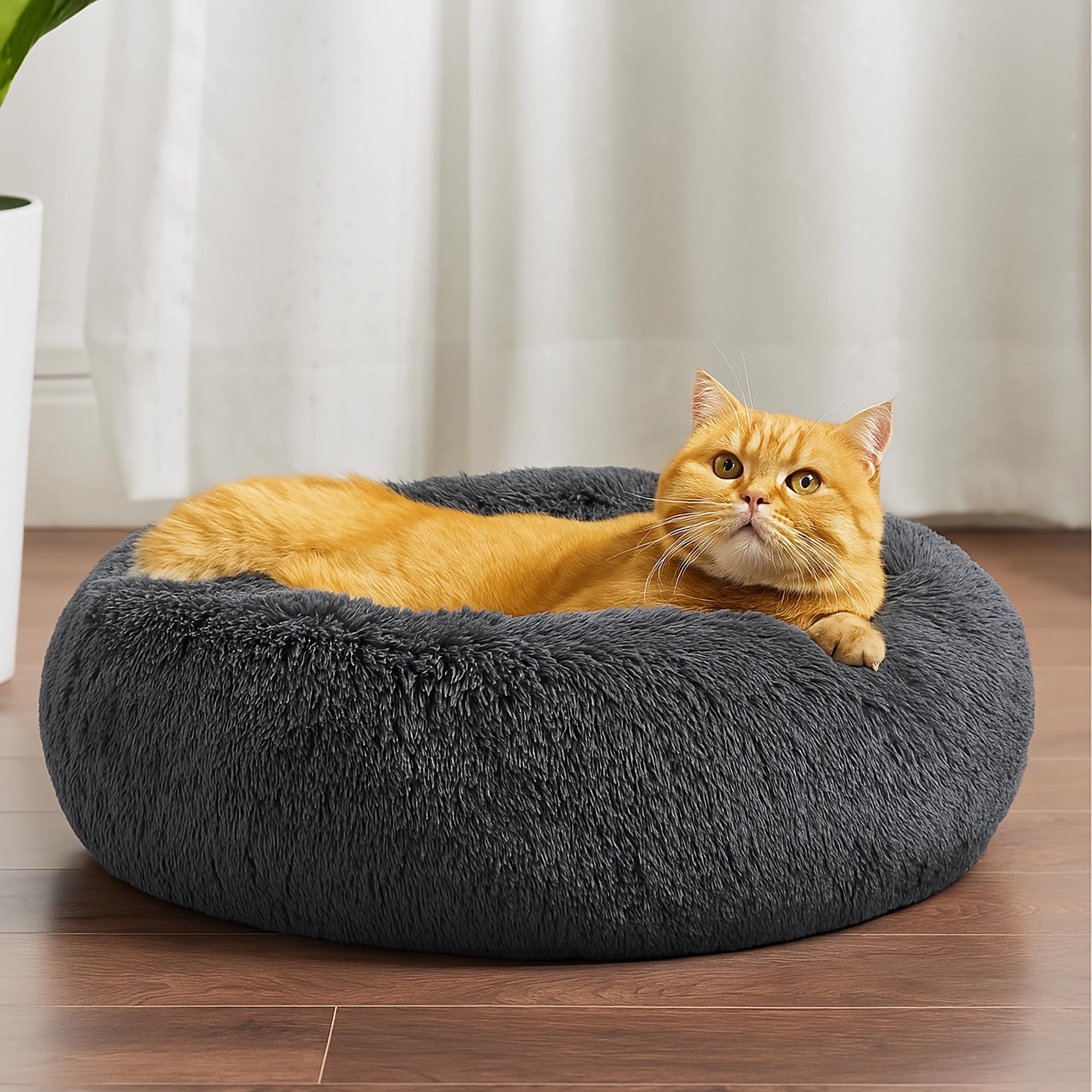 View 7
