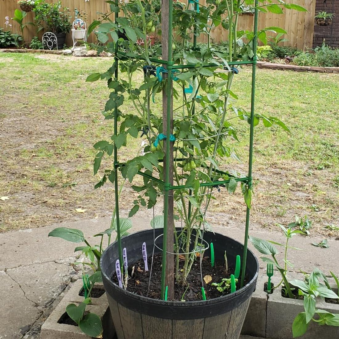30 pali da giardino, 11 mm x 40 cm, bastoncini di supporto per piante verdi, con tubo di collegamento dritto, bastoncini per la coltivazione di piante, bastoncini di supporto per verdure, piante