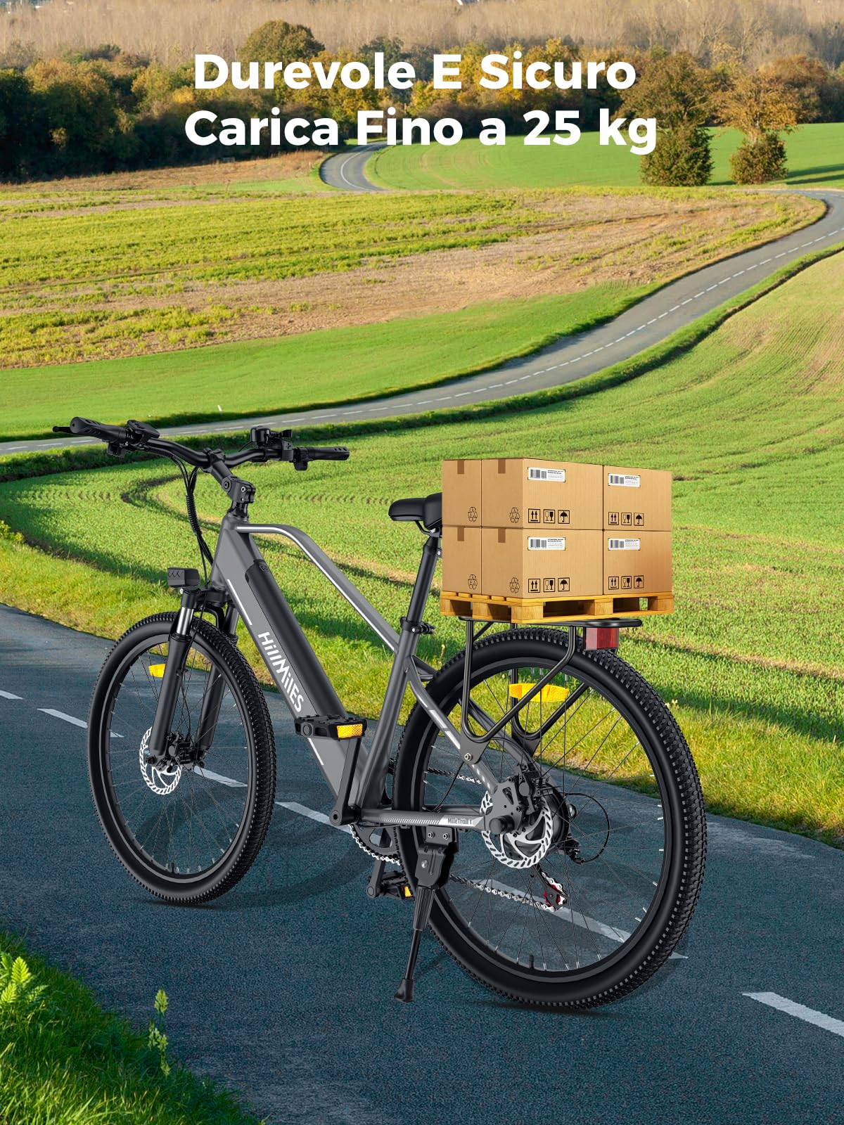 HillMiles MileTrail 1 Bici Elettrica Portapacchi Posteriore