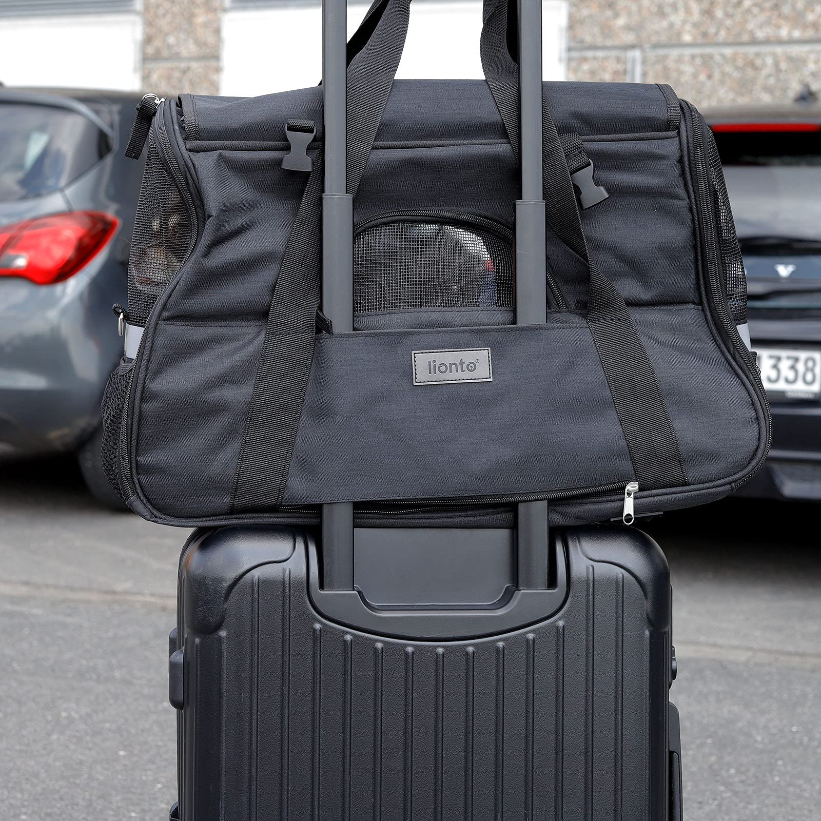 lionto Caisse de Transport Pliable pour Chien avec poignées et bandoulière, 48,5x27x31,5 cm, en Tissu Oxford Robuste et Maille, Caisse pour Chat avec Coussin Doux, idéale pour l’Avion, Noire