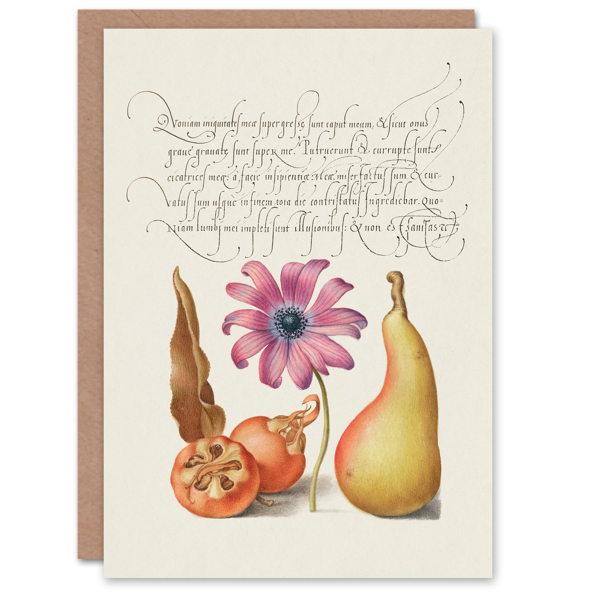 Artery8 Model Book of Calligraphy Art Card Medlar Poppy Anemone and Pear