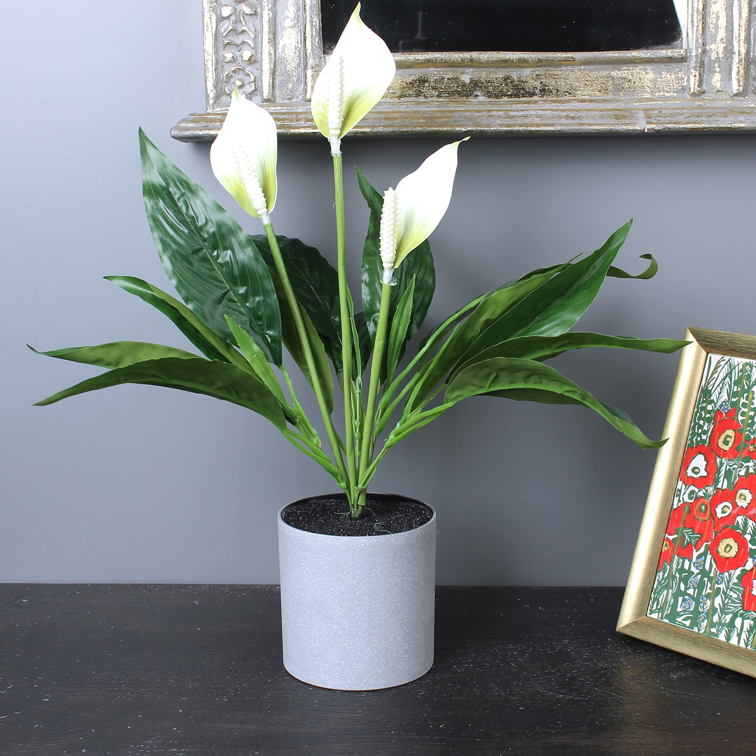 Elemntl Artificial Peace Lily Plant in Pot for Home Decor | Indoor Plants Bonsai for Office Desks & Counters (White Peace Lily in Grey Pot)