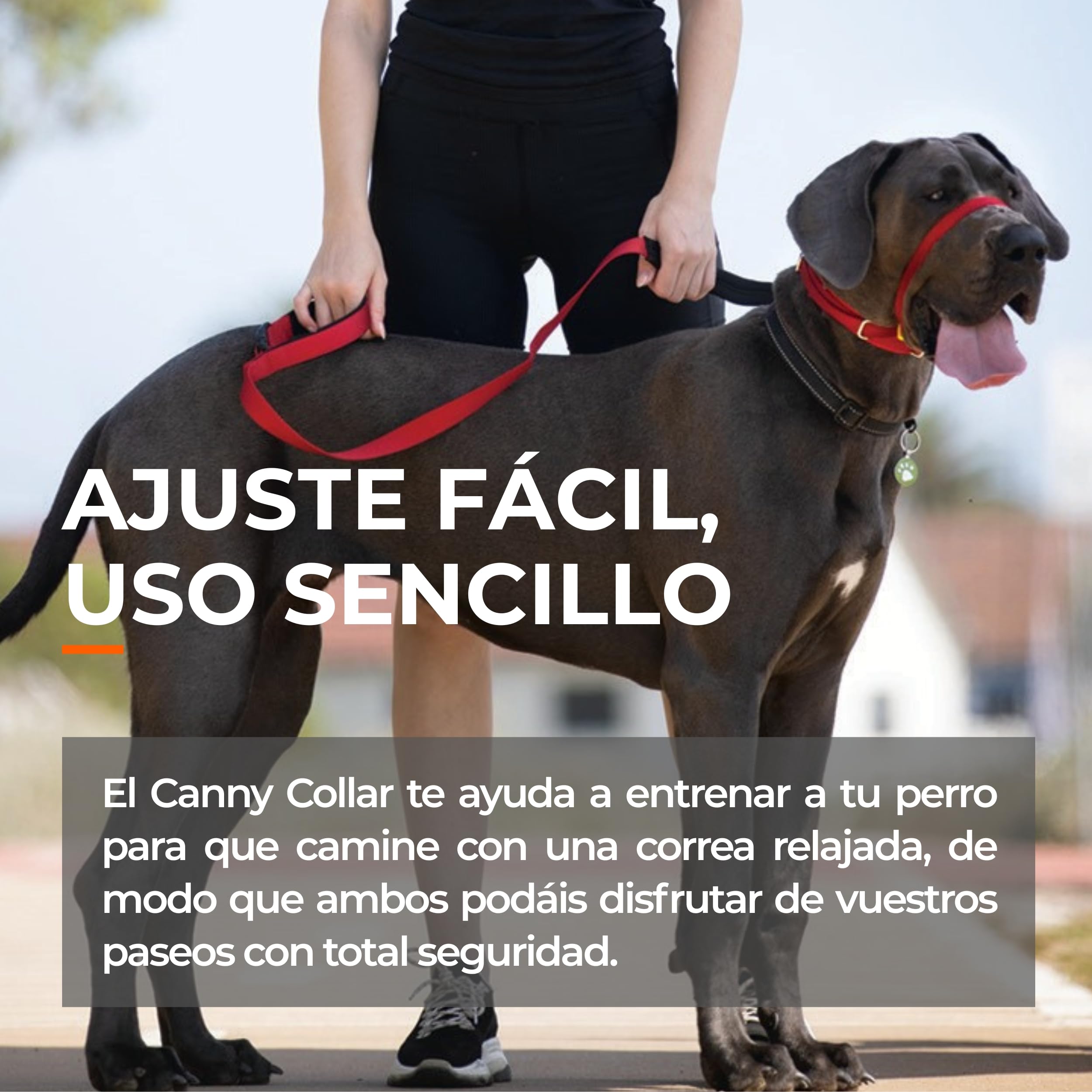 Canny Collar – Collar Antitirones de Cabeza para Perros Que Tiran | Arnés de Entrenamiento Suave y Seguro | Paseos Tranquilos sin Tirones – Azul, Talla 5