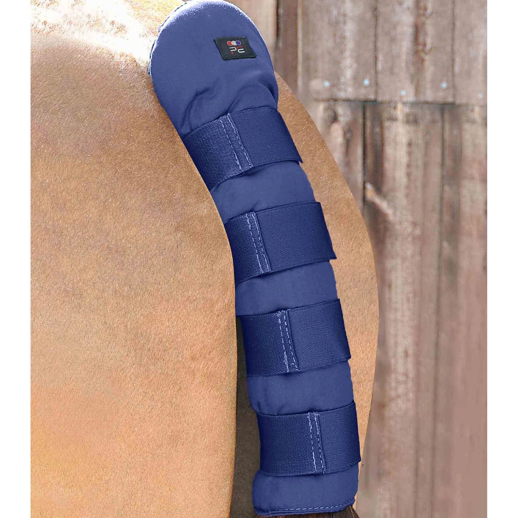 Premier Equine Tail guard for horse Stay-Up