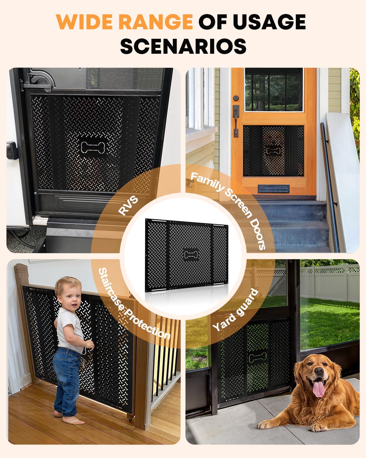 https://m.media-amazon.com/images/I/81+lg4rJDlL.jpg