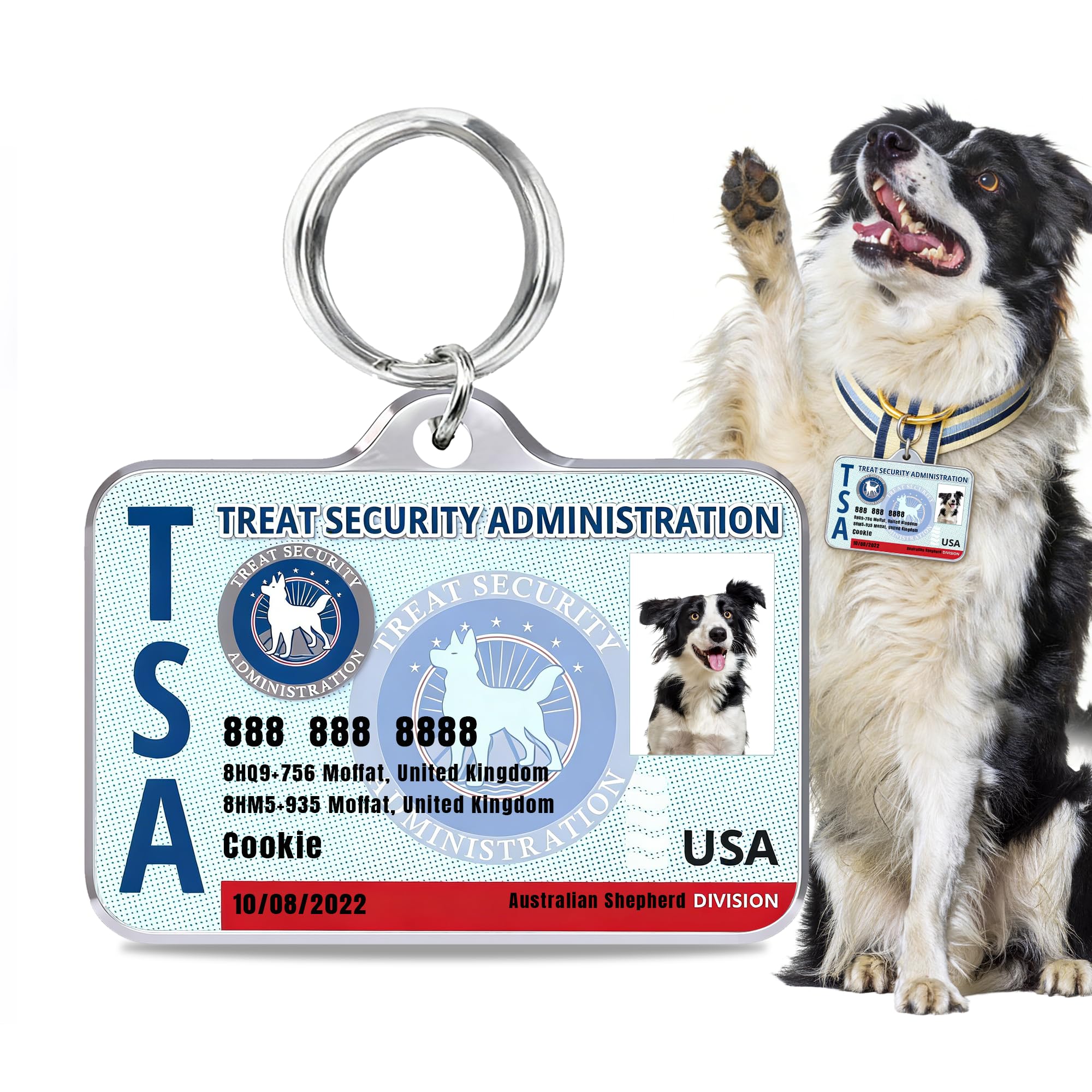 Mocessory Personalized Dog & Cat ID Tags Fun Styles for Sport Outdoor Pets