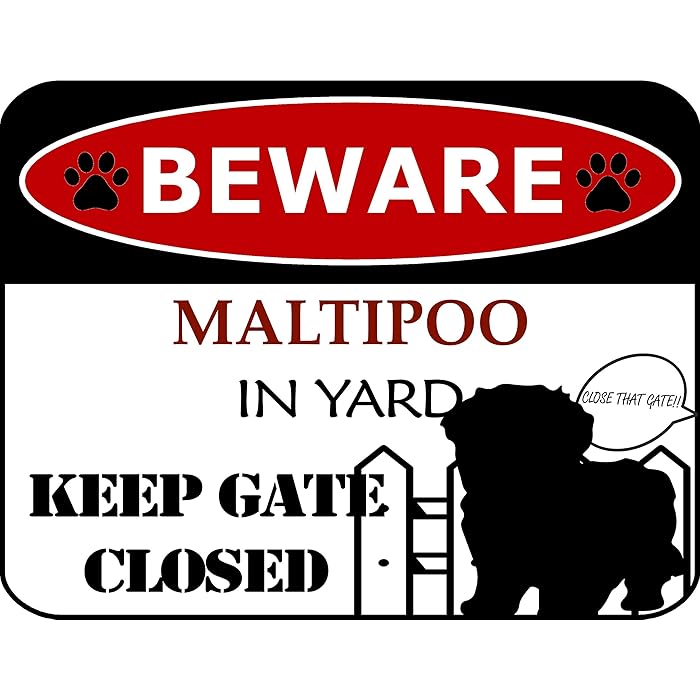 Buy Beware Maltipoo In Yard Keep Gate Closed Laminated Dog Sign SP4618 buy-beware-maltipoo-in-yard-keep-gate-closed-laminated-dog-sign-sp4618