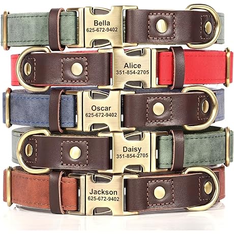 Personalized Small Dog Collar With Name and Phone Number