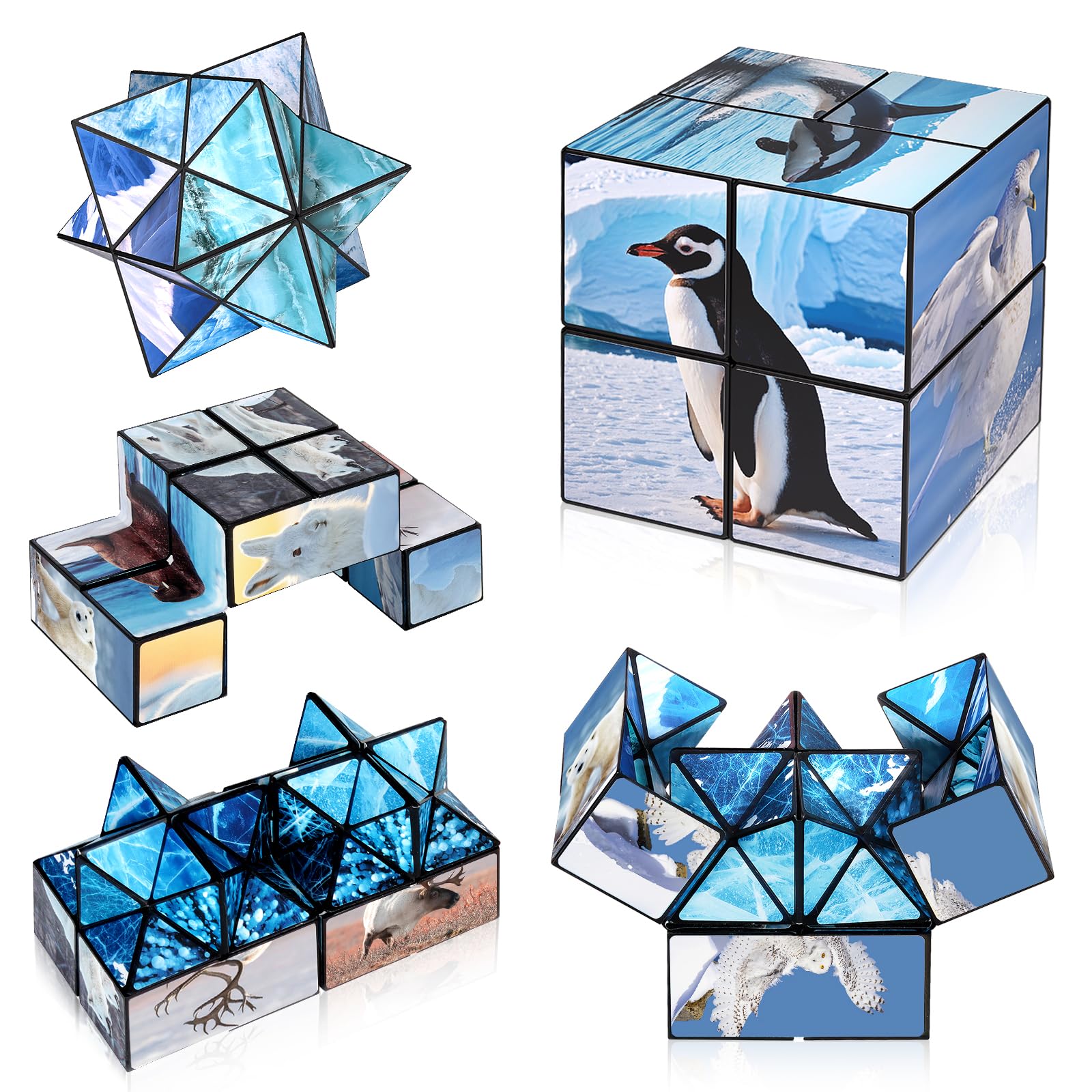 Euclidean Cube 2 in 1 Magic Cube Set, Fidget Toy for Kids Adults, Yoshimoto Cube for Ages 8-12, Arctic/Antarctic Animals Puzzle Cube Fun Toy for Boys Girls (Polar Series)