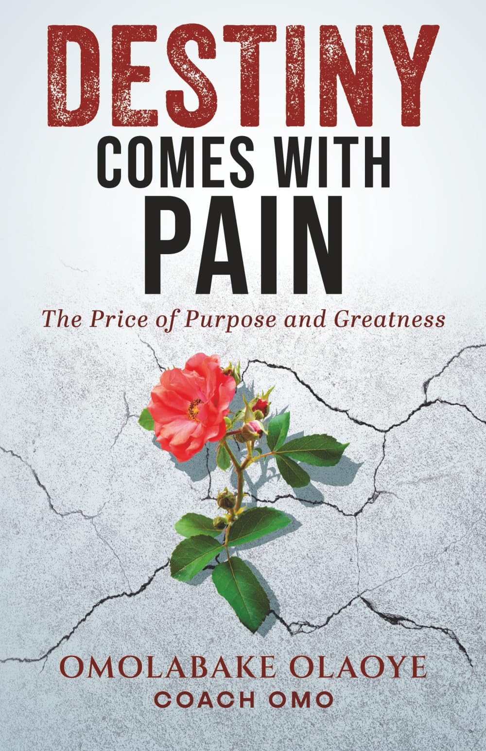 Destiny Comes With Pain