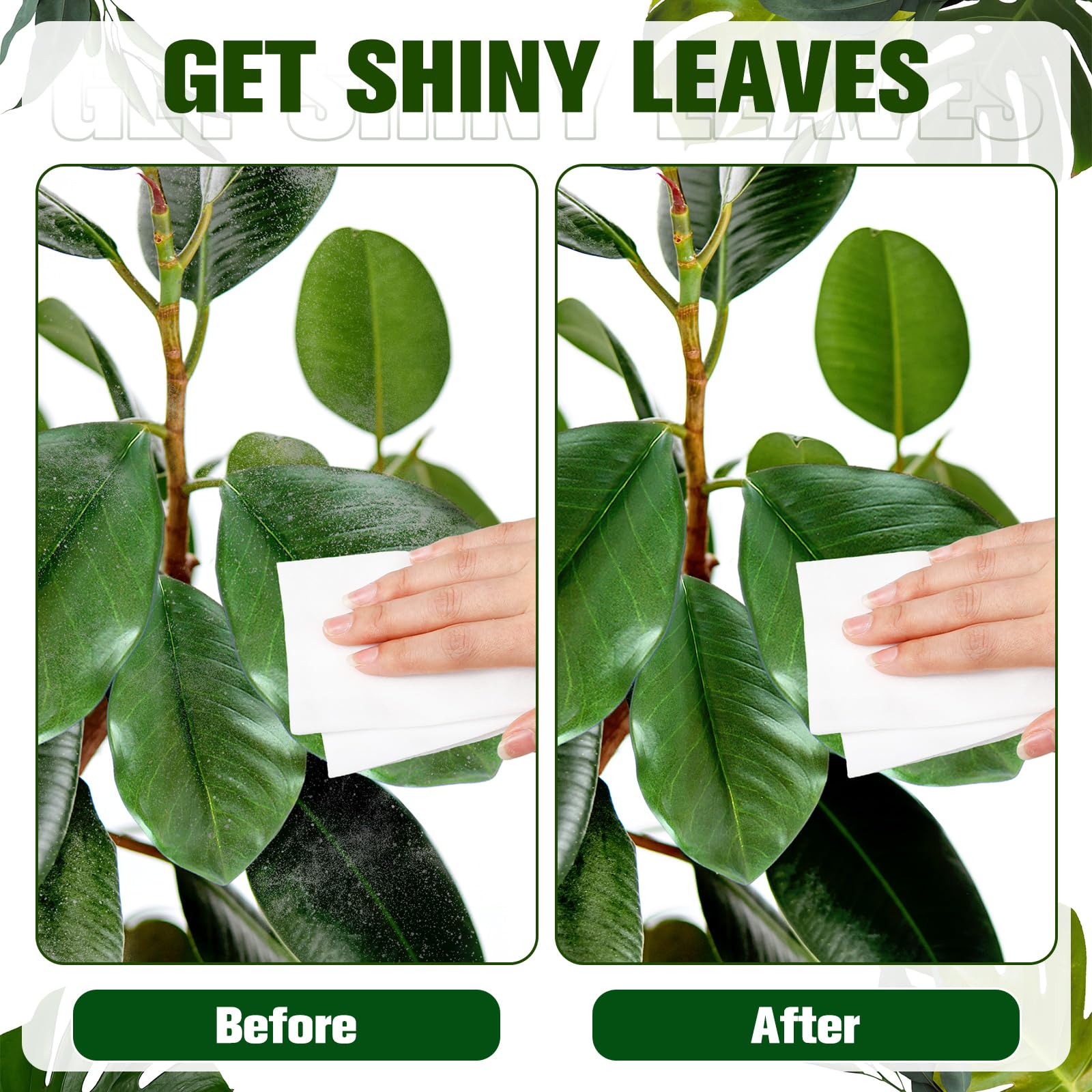 320 toallitas de limpieza de plantas para hojas, limpiador de hojas de plantas y brillo de hojas, sin perfume, tejido de gofre grueso, mejores toallitas de fotosíntesis para plantas de interior y