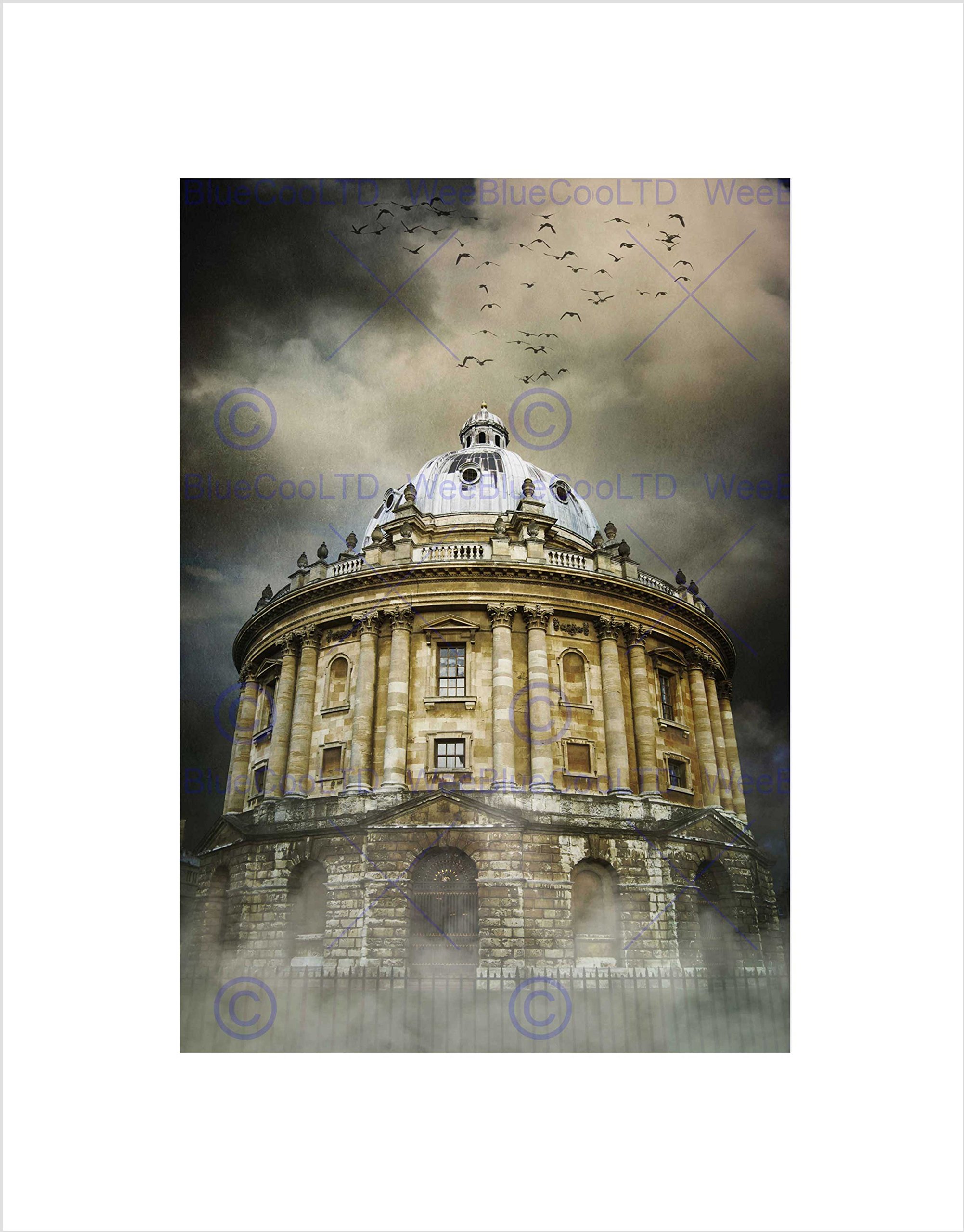 Wee Blue Coo PHOTO LANDMARK COMPOSITION RADCLIFFE CAMERA OXFORD FRAMED ART PRINT B12X13106