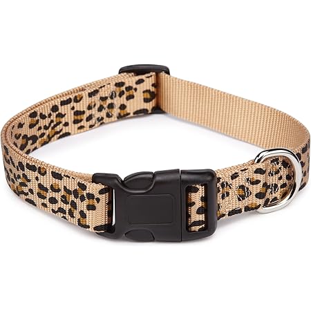 leopard print dog leash