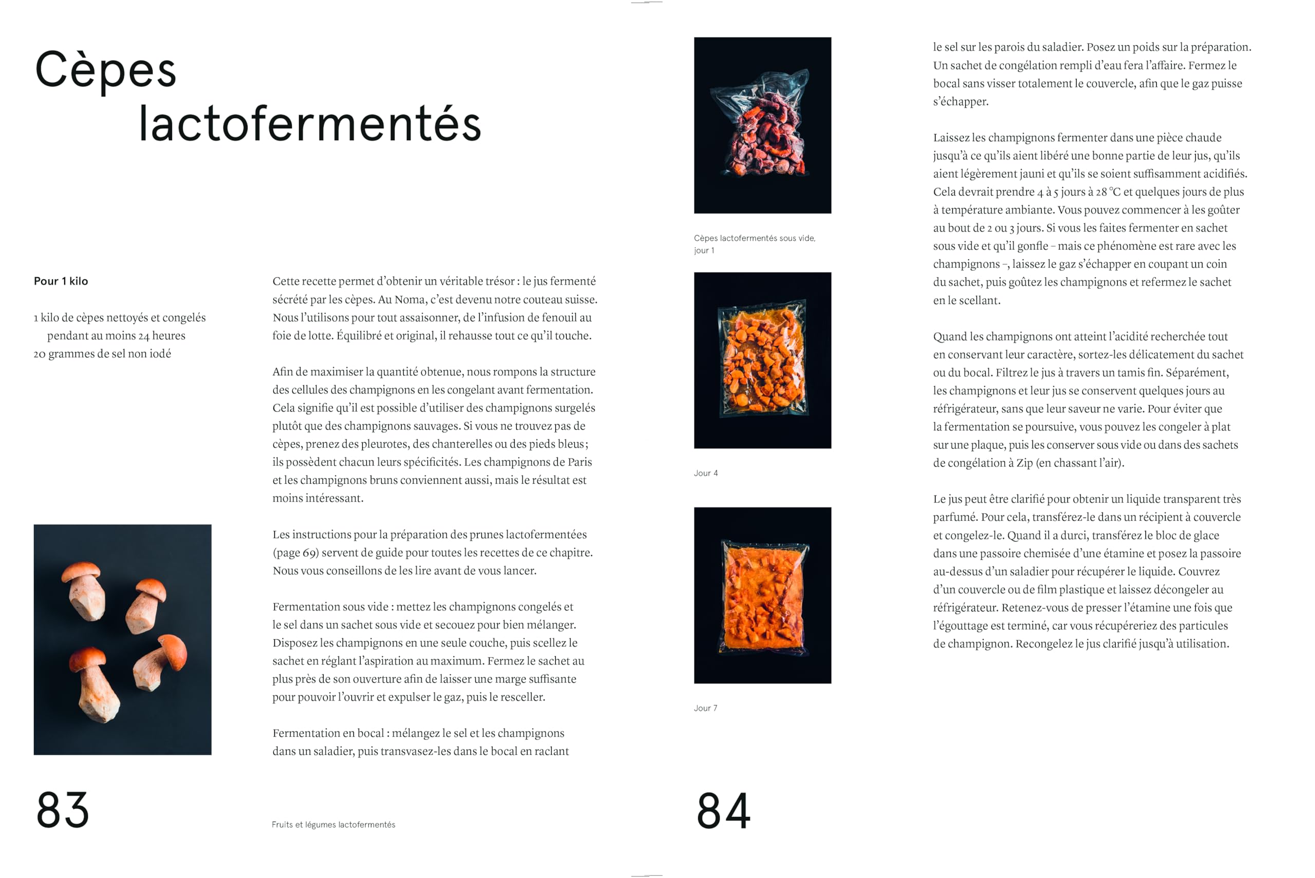 Le guide de la fermentation du Noma