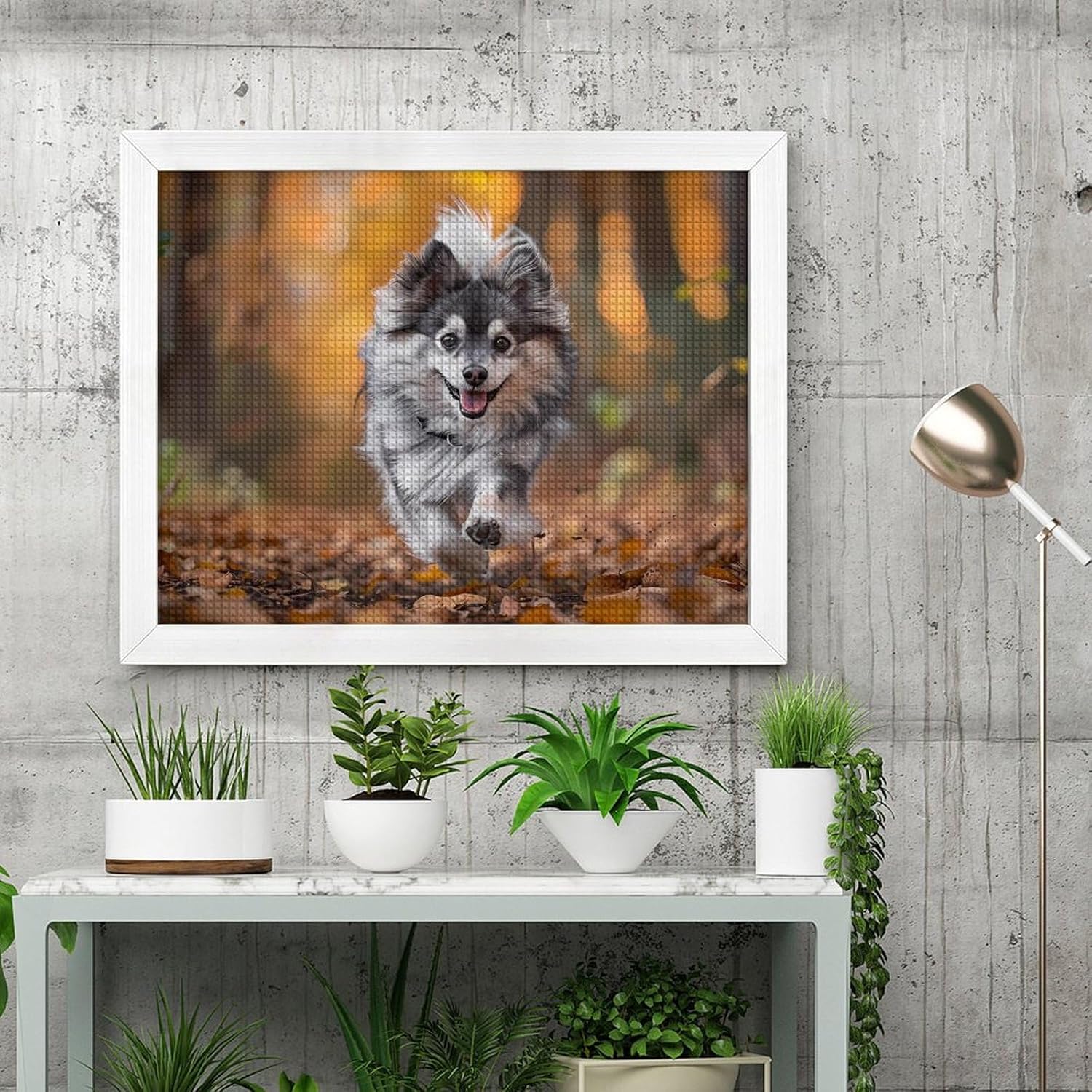 Grey White Pomeranian Pomsky Dog Printed Diamond 5D Painting Kits DIY Full Drill Crafts for Home Wall Decor 16x20 Inch White Wood 50 * 40cm