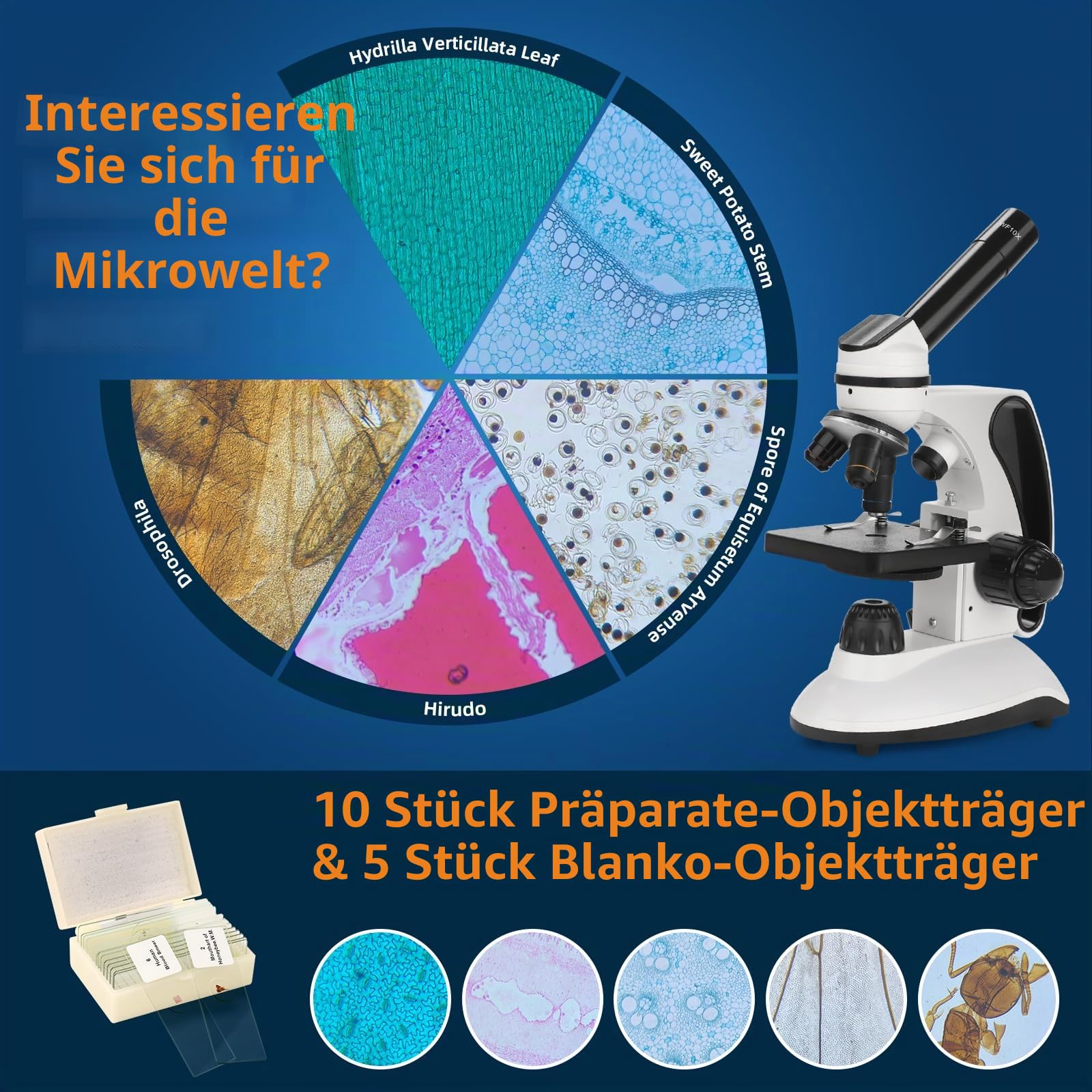 BEBANG Mikroskop für Kinder Studenten Erwachsene 40–2000x Vergrößerung Professionelle Biologische Mikroskope,LED-Beleuchtung bildungstechnisches Mikroskop mit Kits,15 Dias für Labor-Klasse Studie
