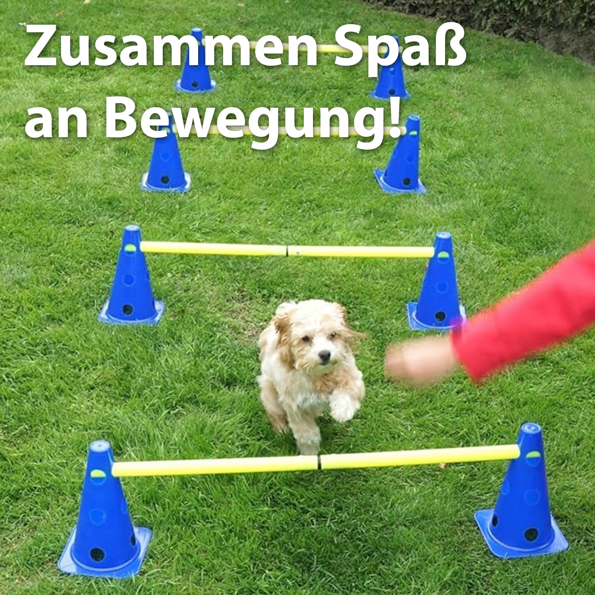 praktisches Steckhürdenset für Fußball, Hundesport, Pferdesport – Ideales Trainingszubehör, Fußballtraining, Pferd und Hunde - Profi Pylonen Set mit Hürden - Hindernisse Kegel
