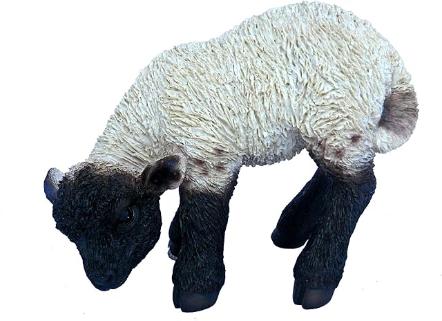 Vivid Arts Real Life Black / White Lamb (Small)