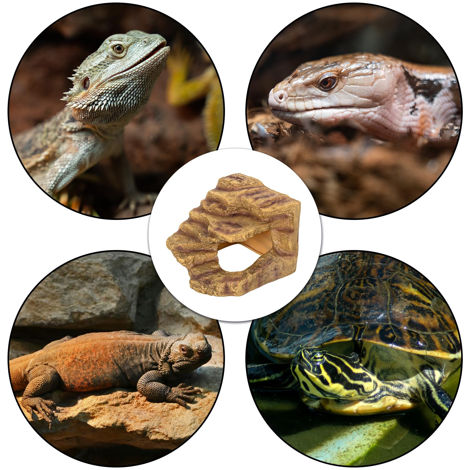 Reptile Hideout - Rampa de Escalada para Cuevas, Plataforma para Dragones barbudos, geco, Tortuga, Lagarto, Serpiente, Rana