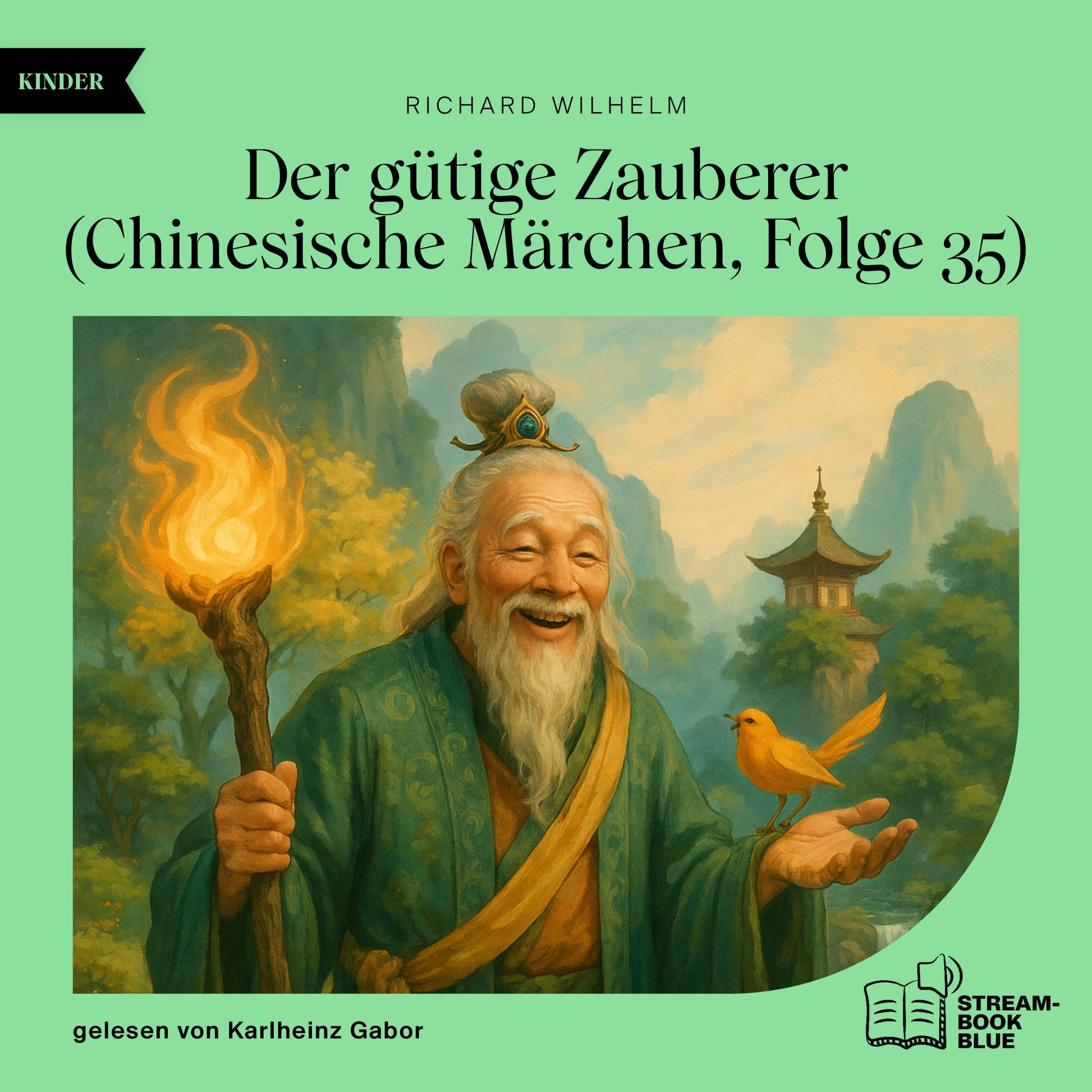Cover art for Der gütige Zauberer