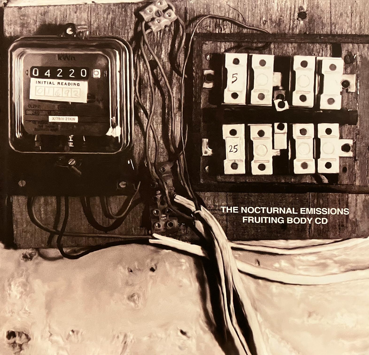 NOCTURNAL EMISSIONS - Fruiting Body (Deluxe Edition) - CD (2xCD)