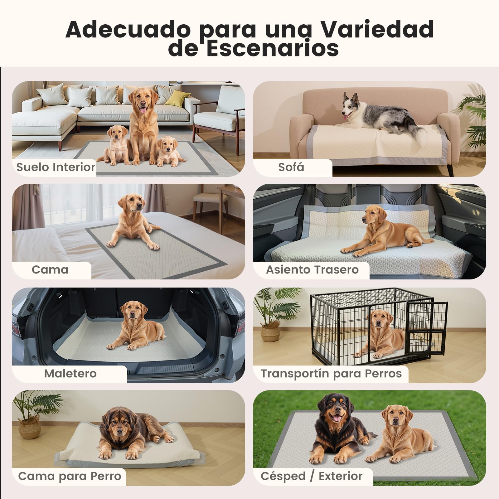 Gardner Pet Empapadores Perros 94x137cm -80 Unidades | Ultraabsorbentes, Respaldo Antideslizante, Protección de Suelos para Perros, para Entrenamiento y Viajes