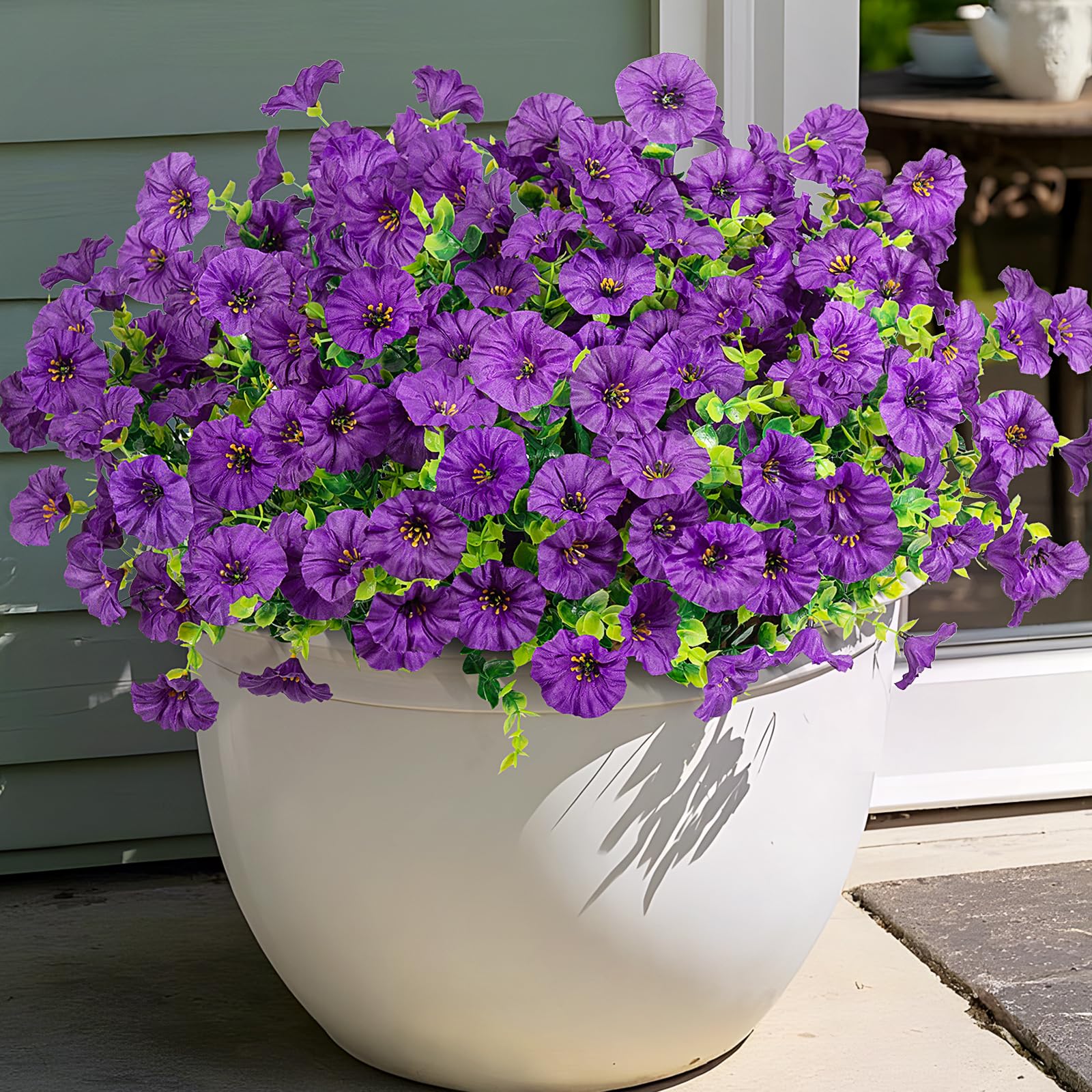 product_img5
