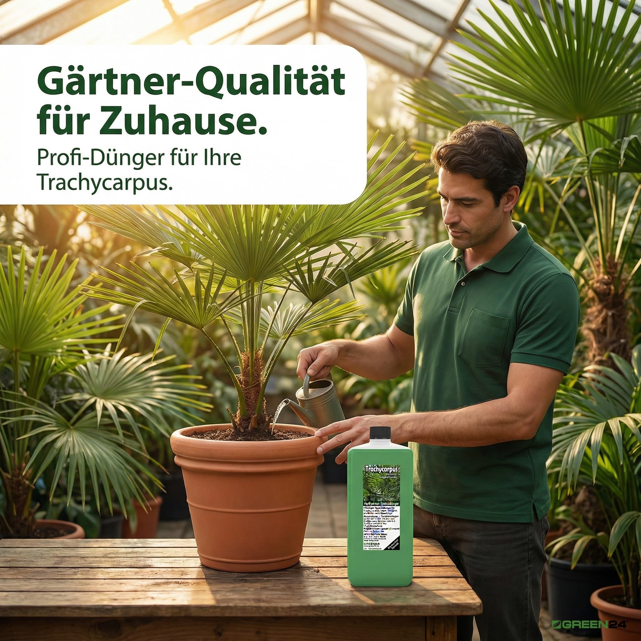 Trachycarpus Dünger XL 1 Liter für Hanfpalmen Tessinerpalmen Trachycarpus fortunei wagnerianus Palmen als Spezial Wurzeldünger + Blattdünger Profi Linie düngen