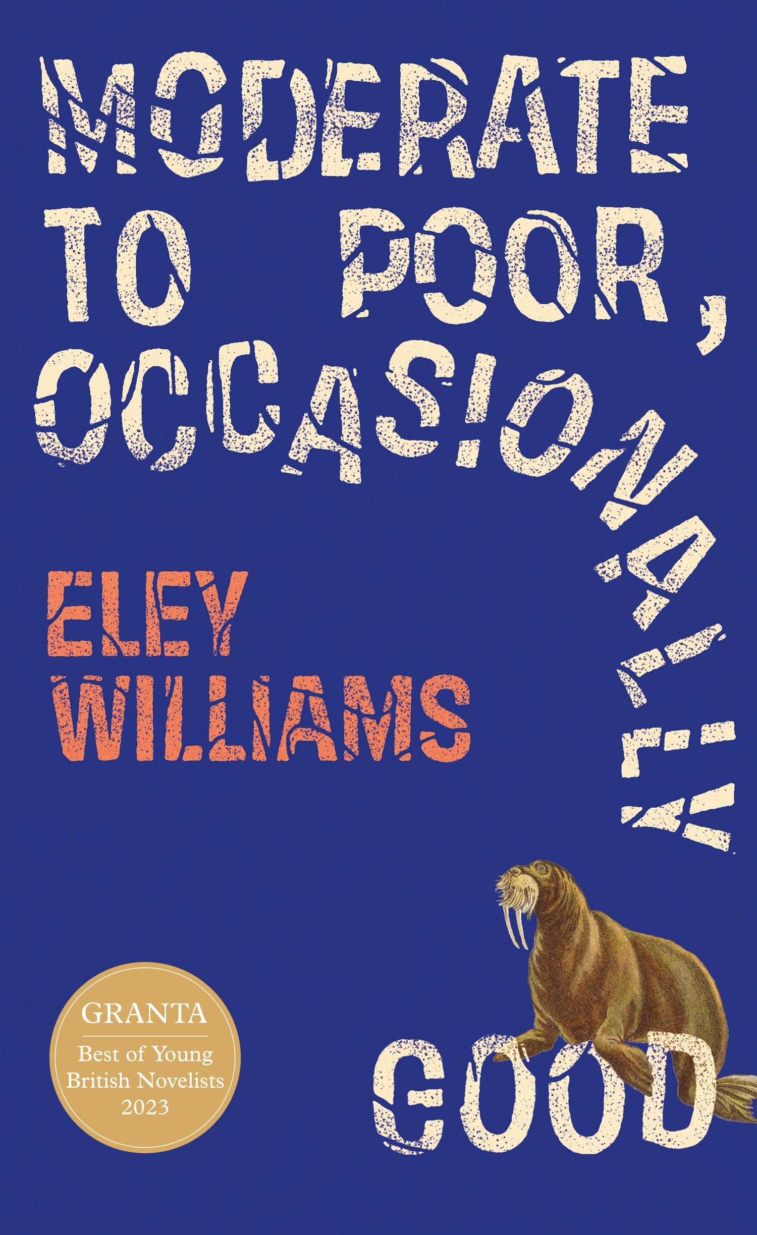 Moderate to Poor, Occasionally Good: Shortlisted for the 2025 Dylan Thomas Prize