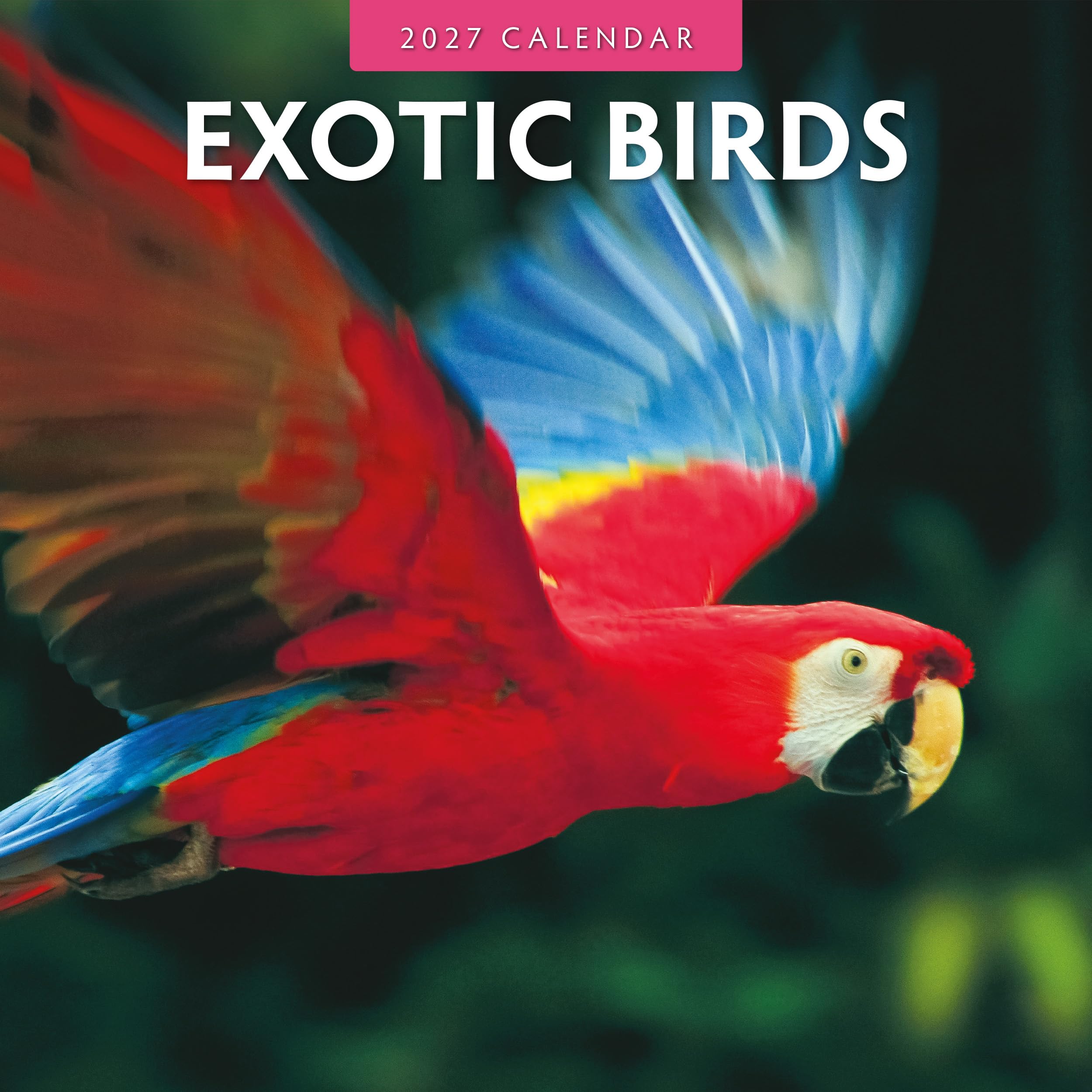 Exotic Birds - 2027 Square Wall Calendar - by Red Robin Publishing