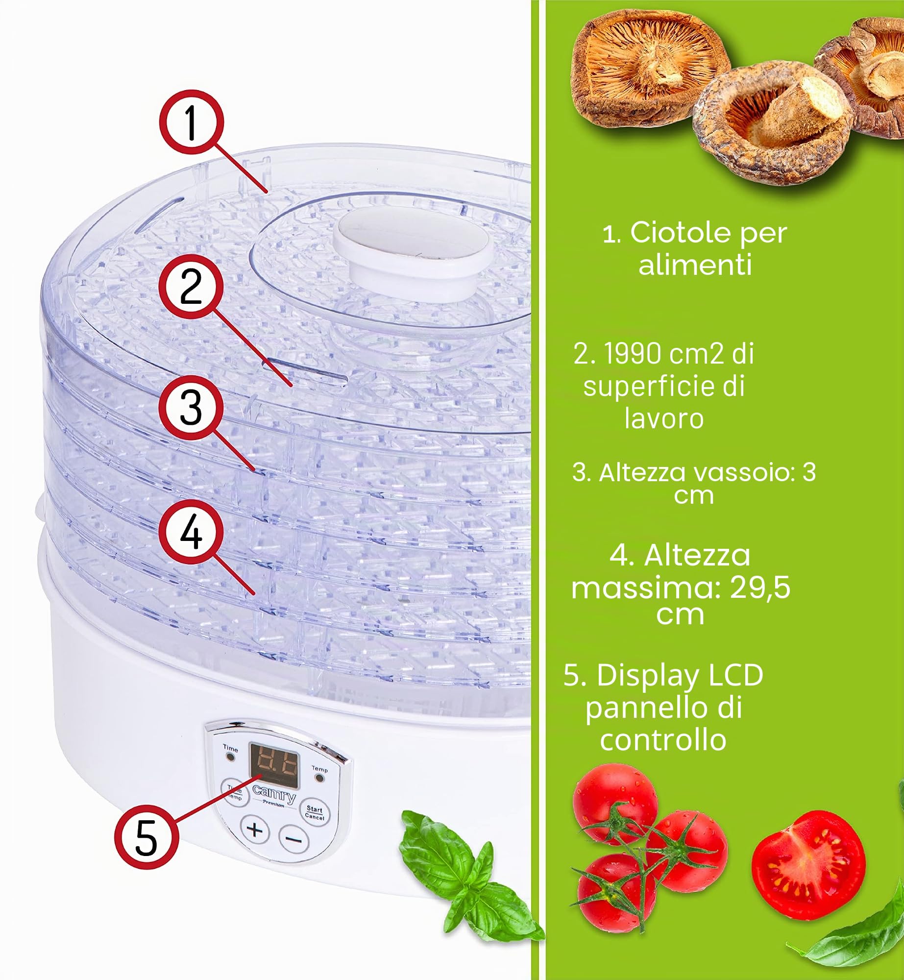 Camry CR 6659 - Essiccatore per alimenti, 550 W, Disidratatore alimentare Timer Temperatura regolabile Essiccatore Funghi Erbe Carne Frutta Verdura