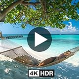 Beach Ambience HD Screensaver - Premium Ocean Waves & Tropical Paradise