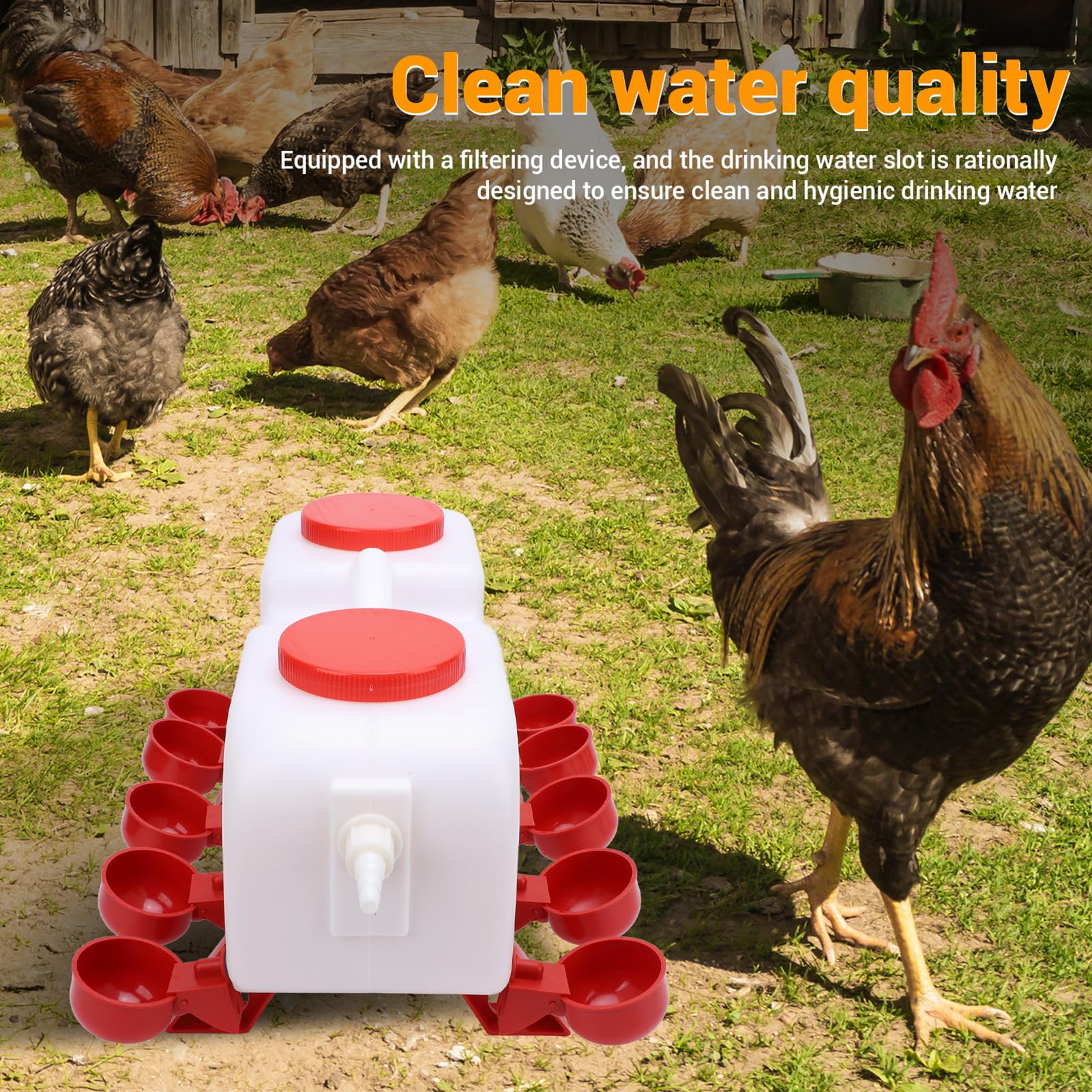 Bebedero automático de pollo con 10 tazas y extensión de manguera, alimentador de plástico para pollos, patitos, palomas