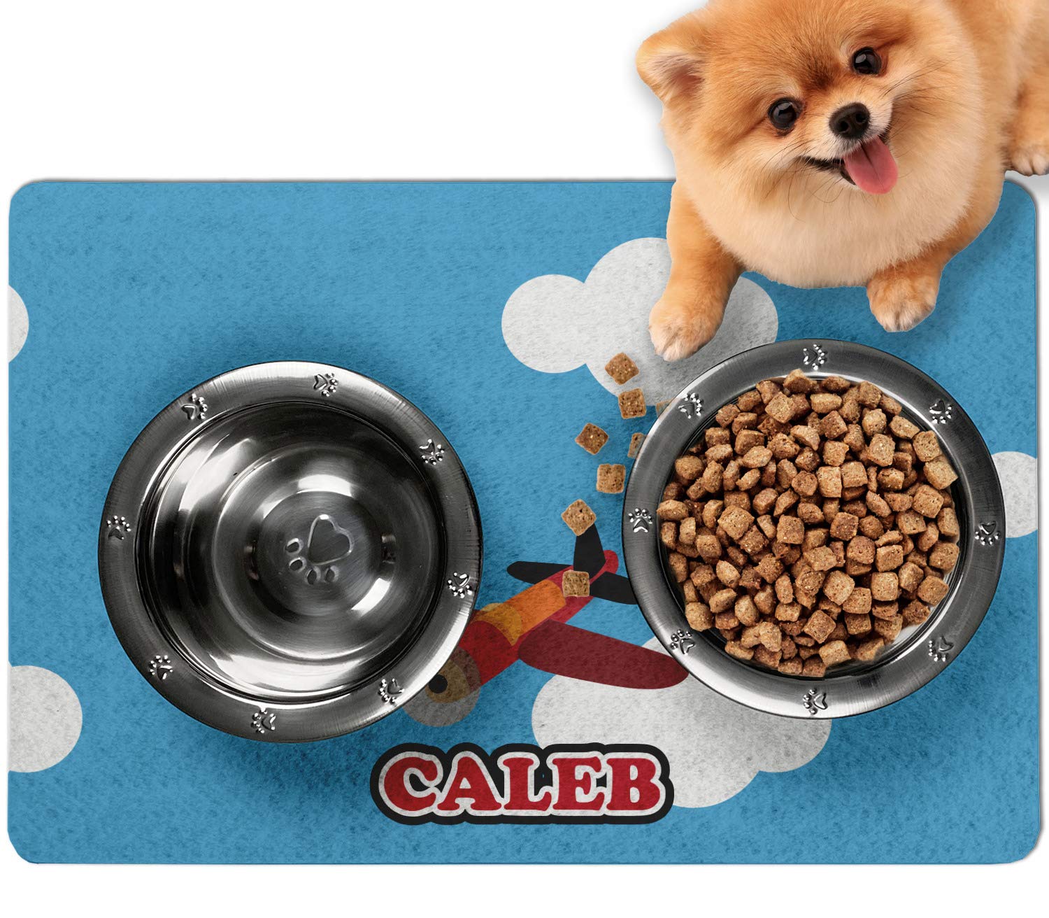 Can You Bring Dog Food On An Airplane