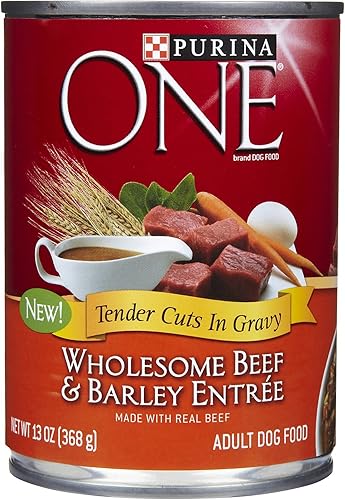 Purina One Wholesome Beef & Barley Entrée Tender recortes en Gravy 13 oz – Caso de 1