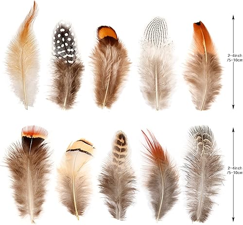 Miniatura 2 de SendyFeather 200 plumas naturales de 10 estilos surtidos de plumas para atrapasueños, manualidades, decoración de bricolaje
