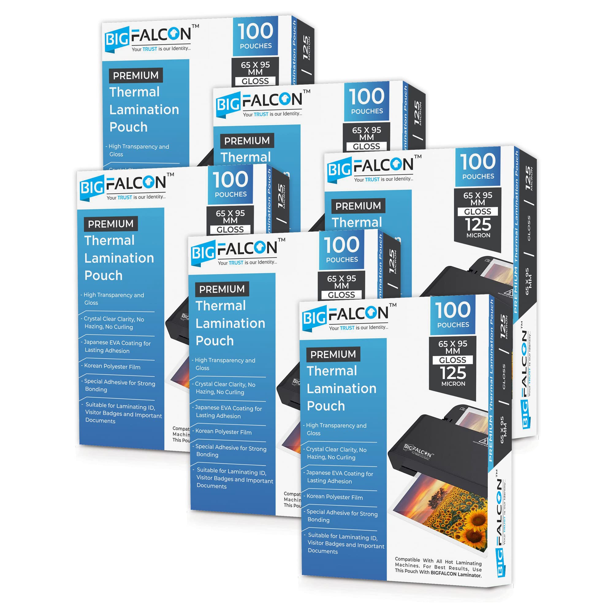 Buy BIGFALCON Premium 65 X 95mm 125 Micron ID Card Size Pack of 6 (600 Sheets) Lamination Pouch