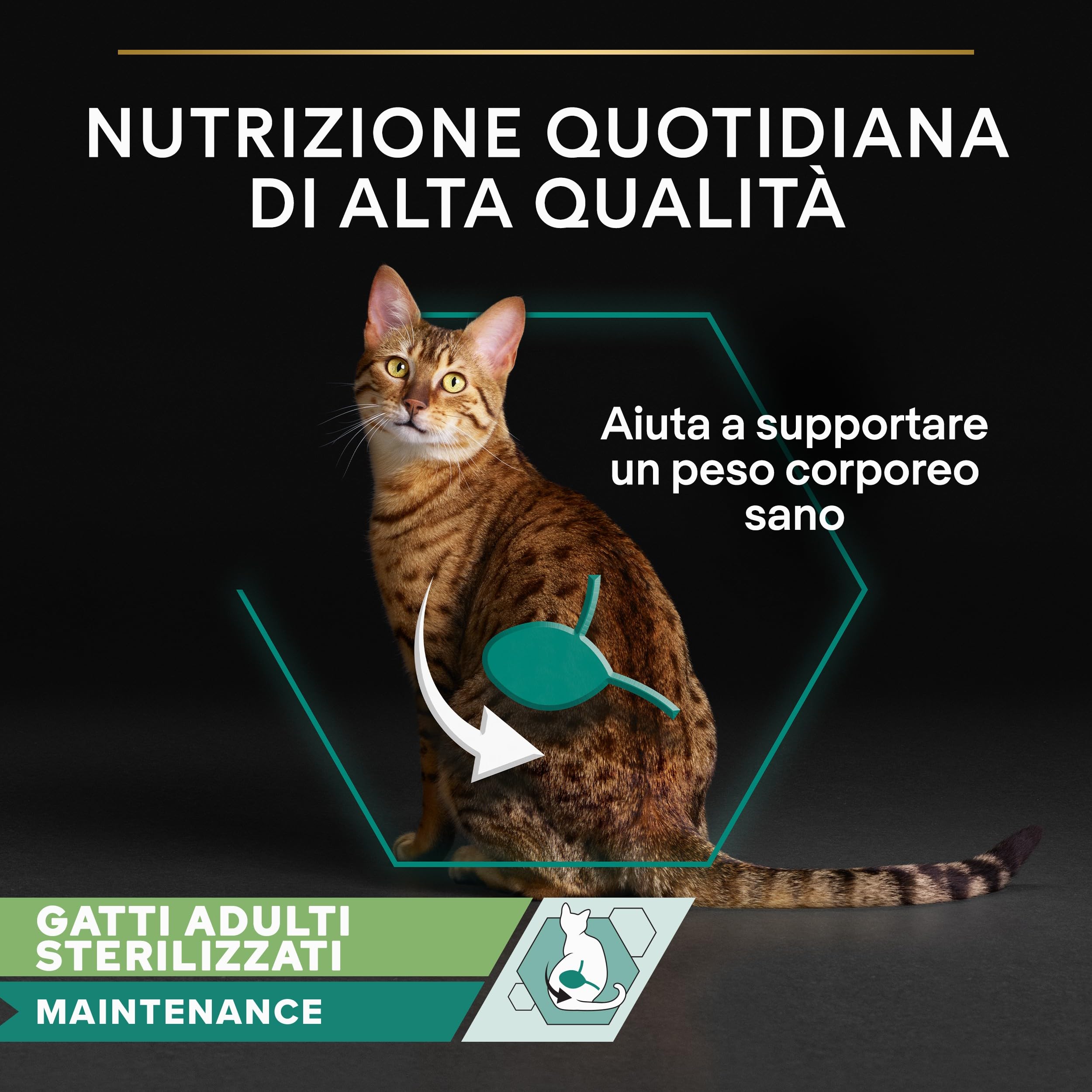 Purina Pro Plan Sterilised Nassfutter für Erwachsene Katzen, sterilisiert, in Gelee, Meeresfisch, 26 Beutel à 85 g