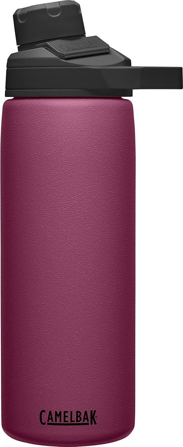 Chute Mag Vacuum Insulated Stainless Steel Water Bottle - 20oz, Plum