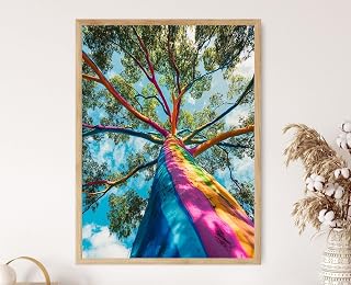 VUVUKU Vibrant Rainbow Eucalyptus Colorful Tropical Tree Deglupta
