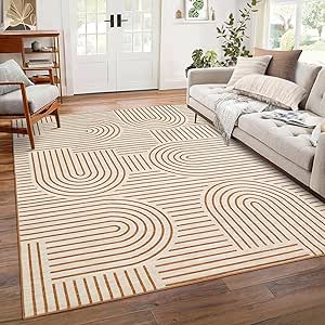 ROYHOME Washable 8×10 Area Rug with Non-Slip Backing, Orange Rainbow Geometric Design