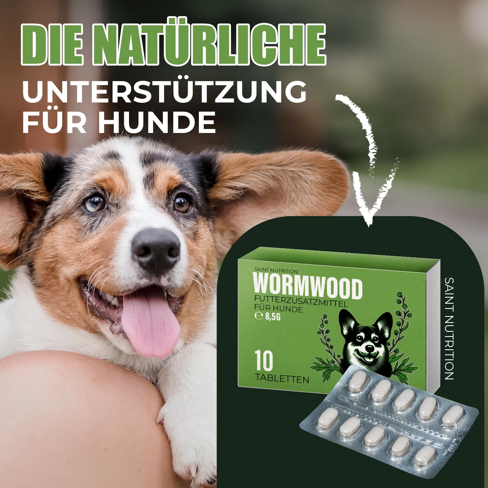 Saint Nutrition® Wormwood – Wurmkur sekundierend für Hunde - Wermutkraut Extrakt Hund – Natürliche Kräuterformel - Ergänzungsfuttermittel für eine optimale Unterstützung - ohne künstliche Zusätze