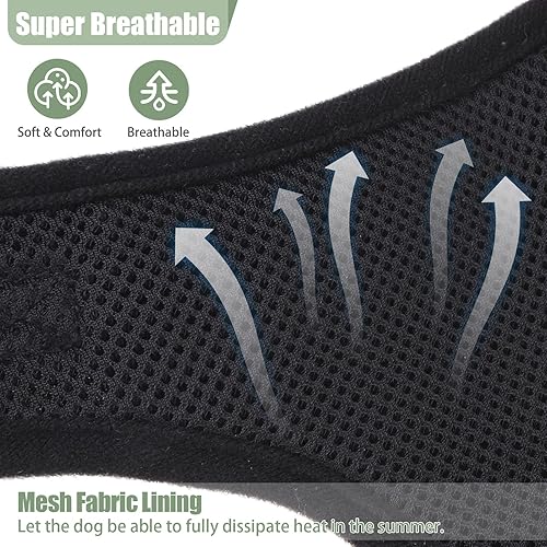 Miniatura 3 de PUPTECK Juego de arnés y collar de correa para perros pequeños y medianos, cachorros y gatos, sin tirones, ajustable, reflectante, de malla suave,