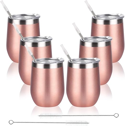 6 Pack Stainless Steel Wine Tumbler Wine Glass, 12Oz